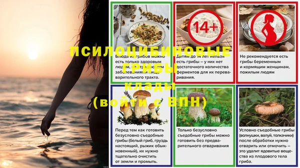 тгк Карпинск
