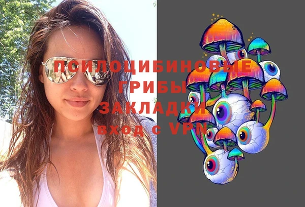 тгк Карпинск
