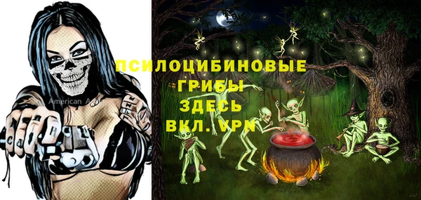 тгк Карпинск